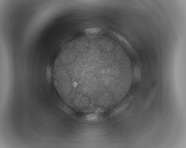 X0000111160761200908111154