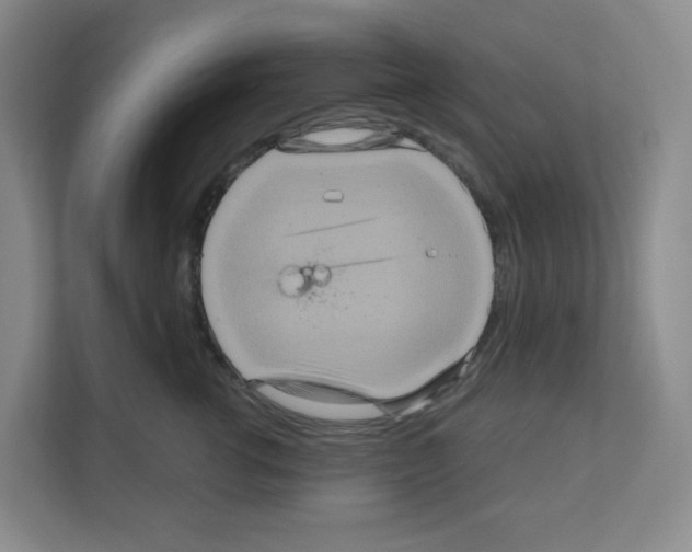 X0000111160762200908111154