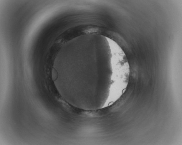 X0000111160763200908111154