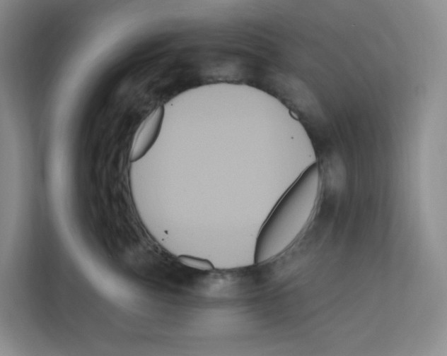 X0000111160764200908111154