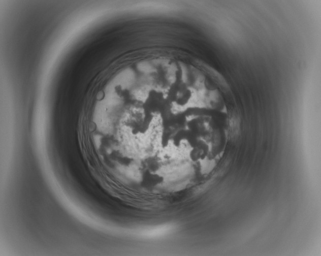X0000111160765200908111154