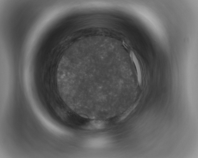 X0000111160766200908111154
