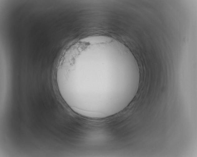 X0000111160768200908111154