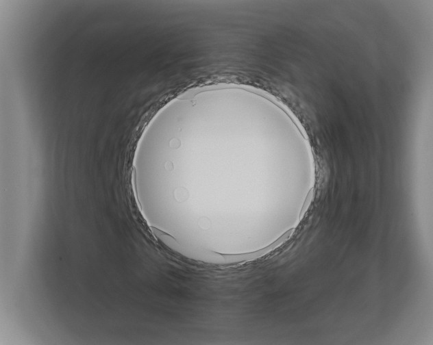 X0000111160769200908111153