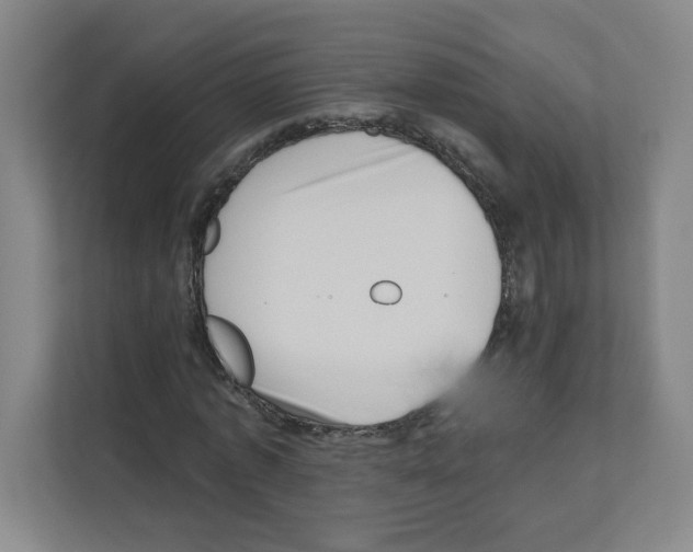 X0000111160773200908111153