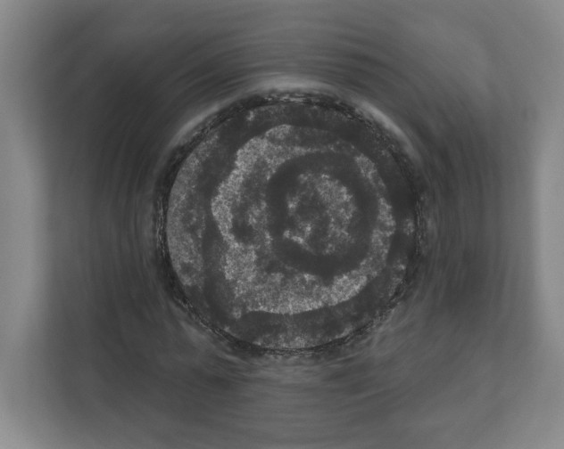 X0000111160775200908111153