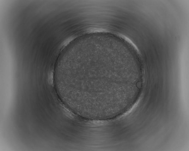 X0000111160777200908111153