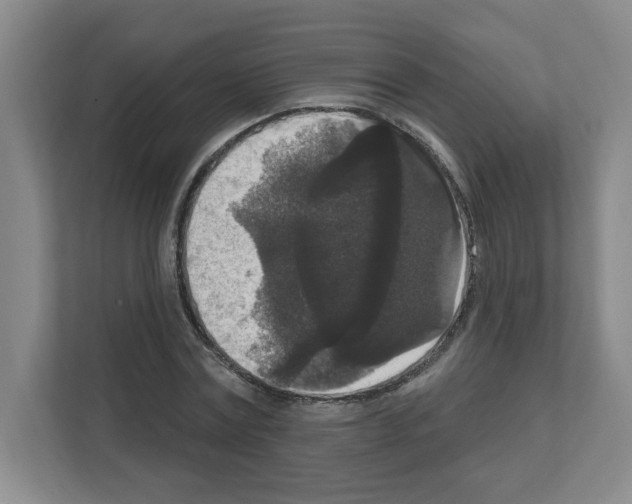X0000111160779200908111153