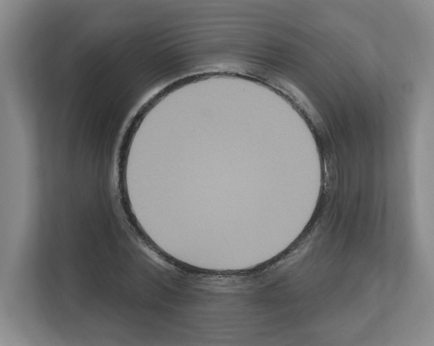 X0000111160780200908111153