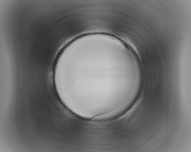 X0000111160781200908111153