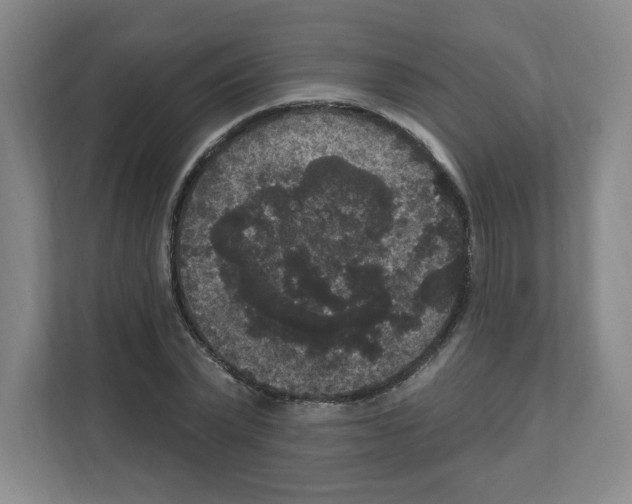X0000111160783200908111153
