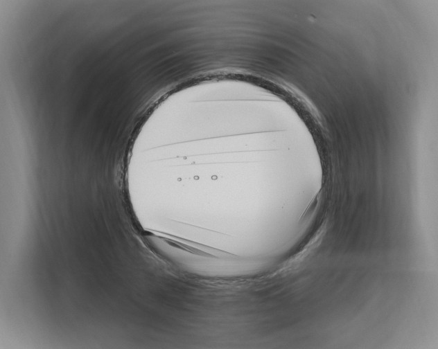 X0000111160785200908111153