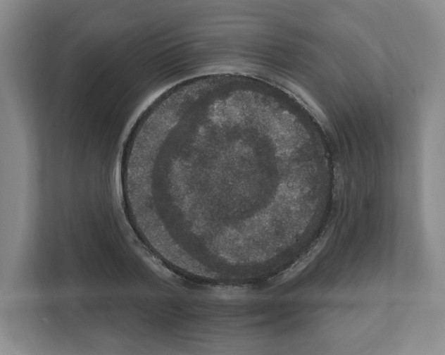 X0000111160788200908111153