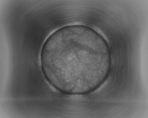 X0000111160789200908111153