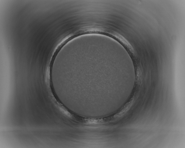 X0000111160790200908111153