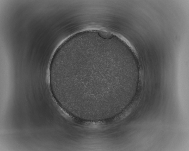 X0000111160791200908111153