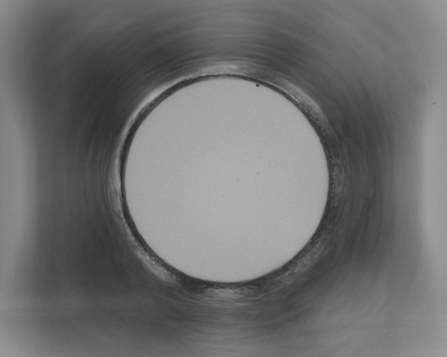 X0000111160792200908111153