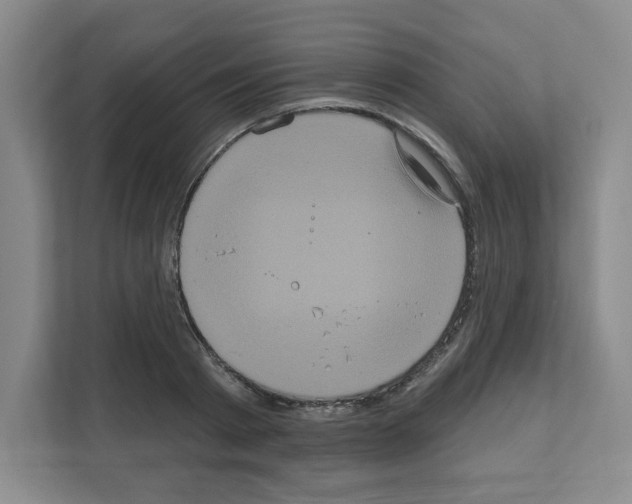 X0000111160793200908111153