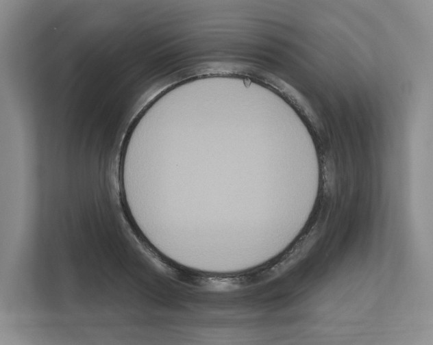 X0000111160794200908111153