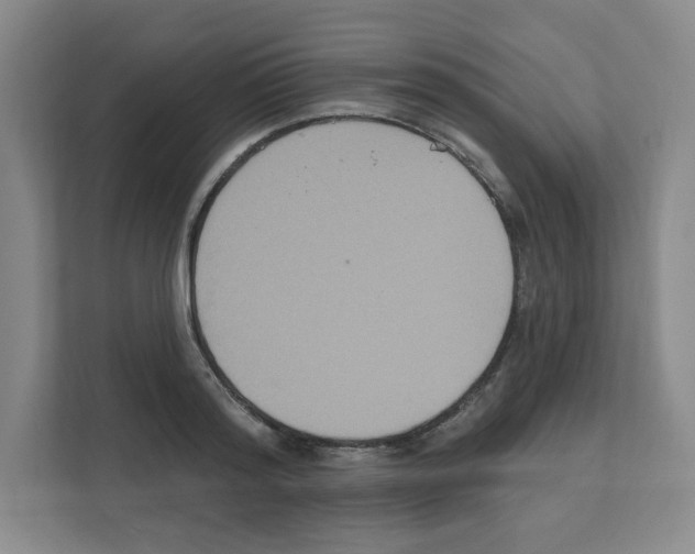X0000111160796200908111153