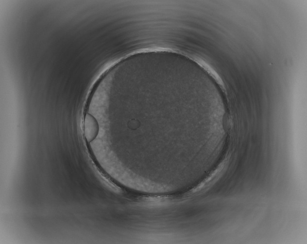 X0000111160797200908111153