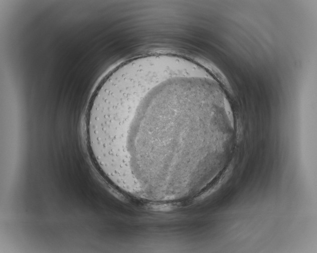 X0000111160798200908111153