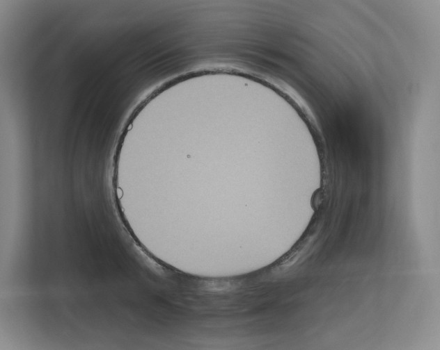 X0000111160799200908111153