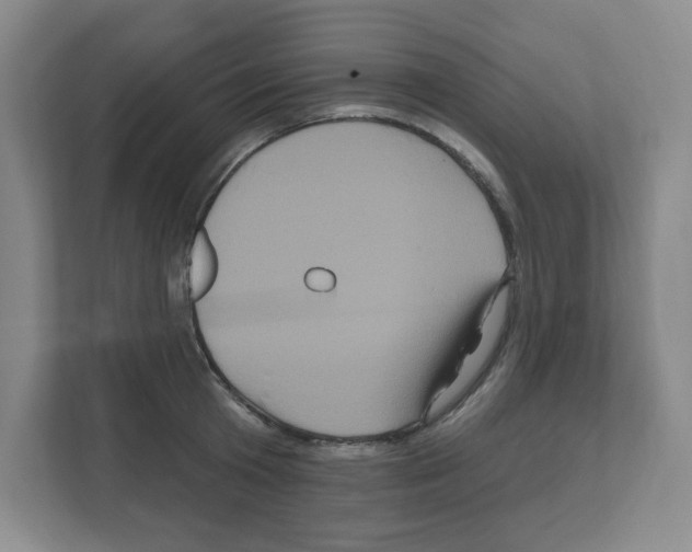 X0000111160801200908111153