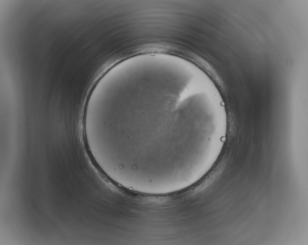 X0000111160802200908111153