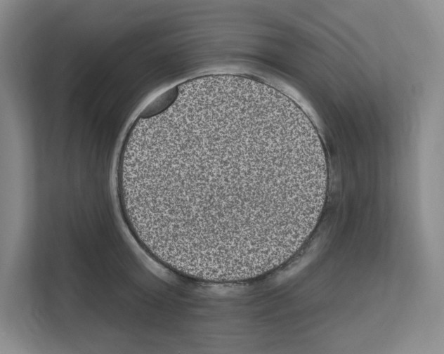 X0000111160803200908111153