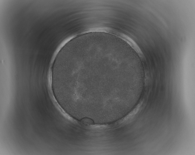 X0000111160804200908111153