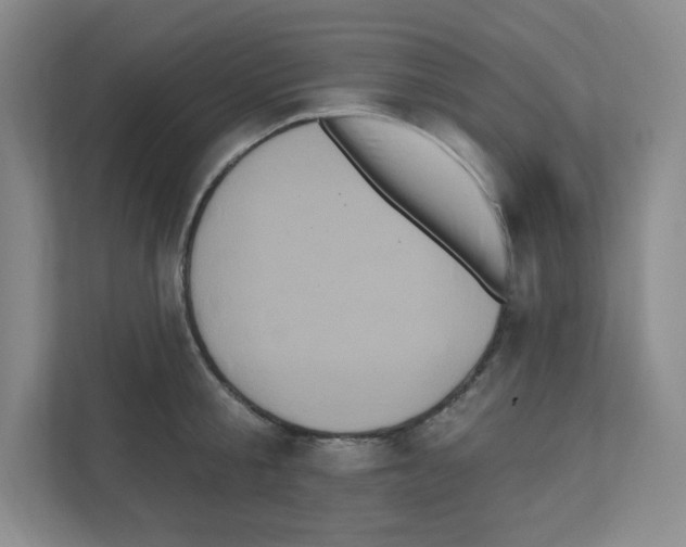 X0000111160805200908111153