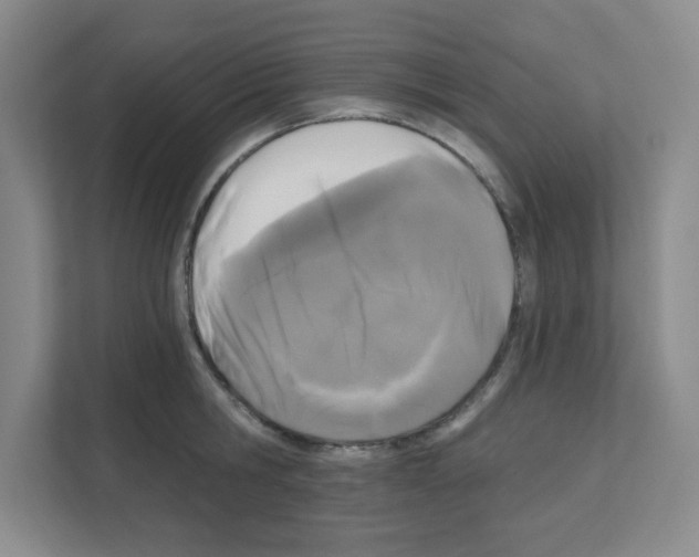 X0000111160806200908111153