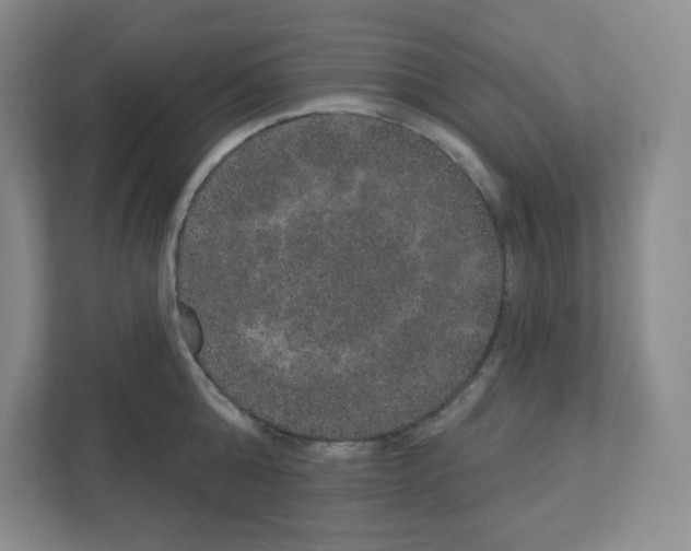X0000111160808200908111153