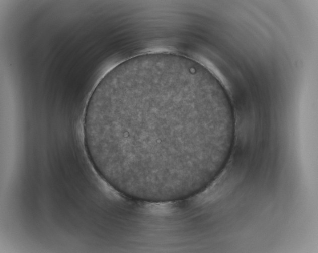 X0000111160810200908111152