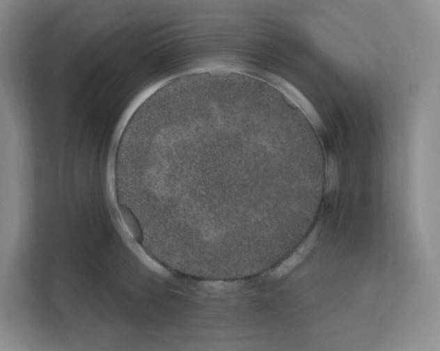 X0000111160812200908111152