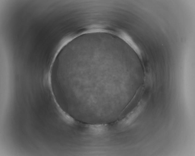 X0000111160813200908111152
