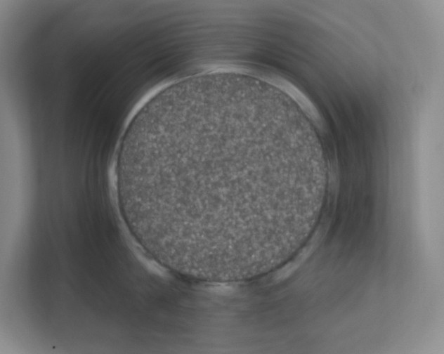 X0000111160814200908111152