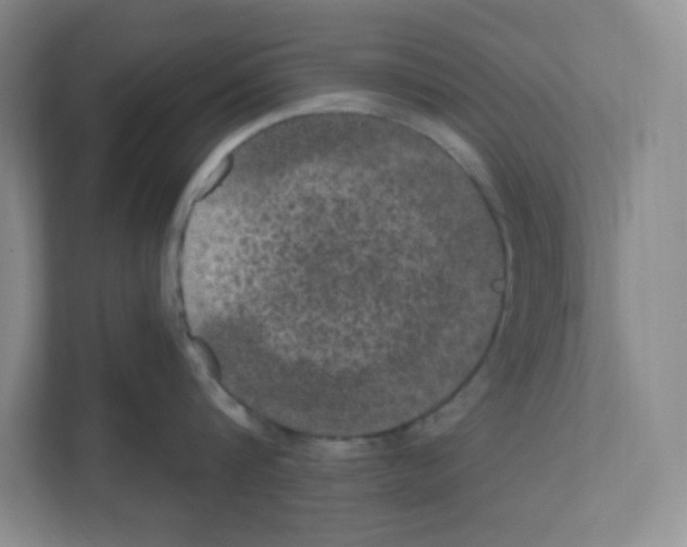 X0000111160816200908111152
