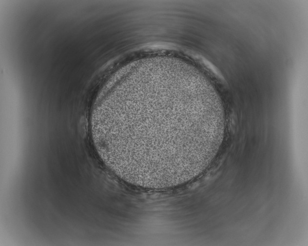 X0000111160821200908111152