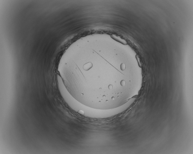 X0000111160824200908111152