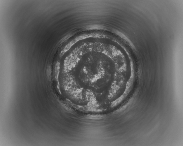 X0000111160825200908111152