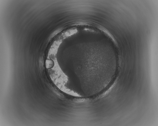 X0000111160826200908111152