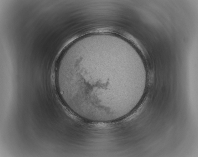 X0000111160827200908111152