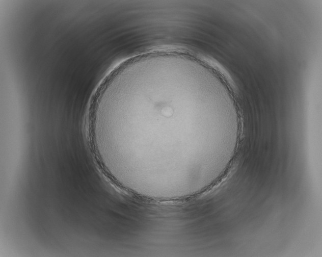 X0000111160828200908111152