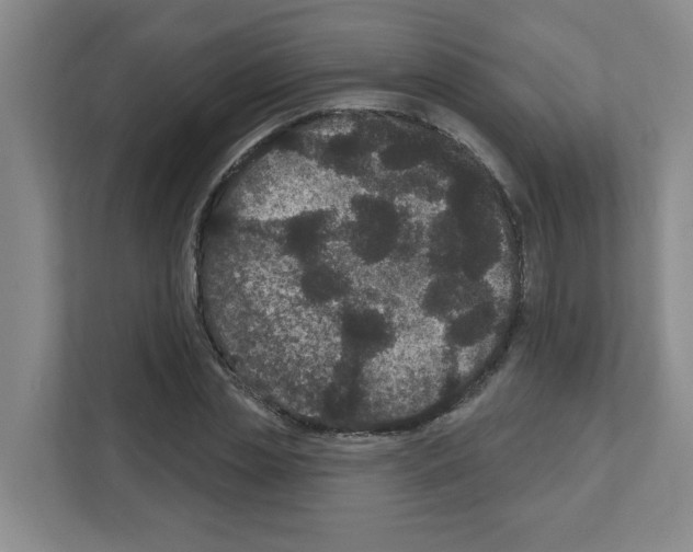 X0000111160829200908111152