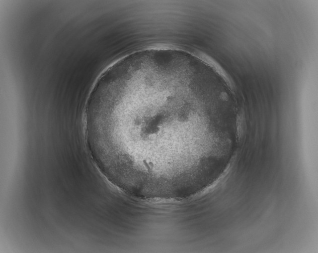 X0000111160831200908111152