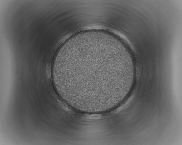 X0000111160833200908111152
