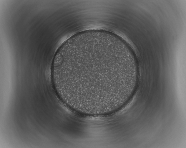 X0000111160834200908111152