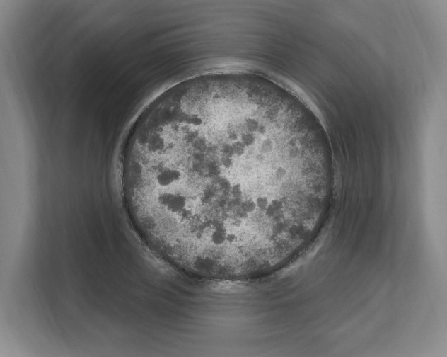 X0000111160835200908111152